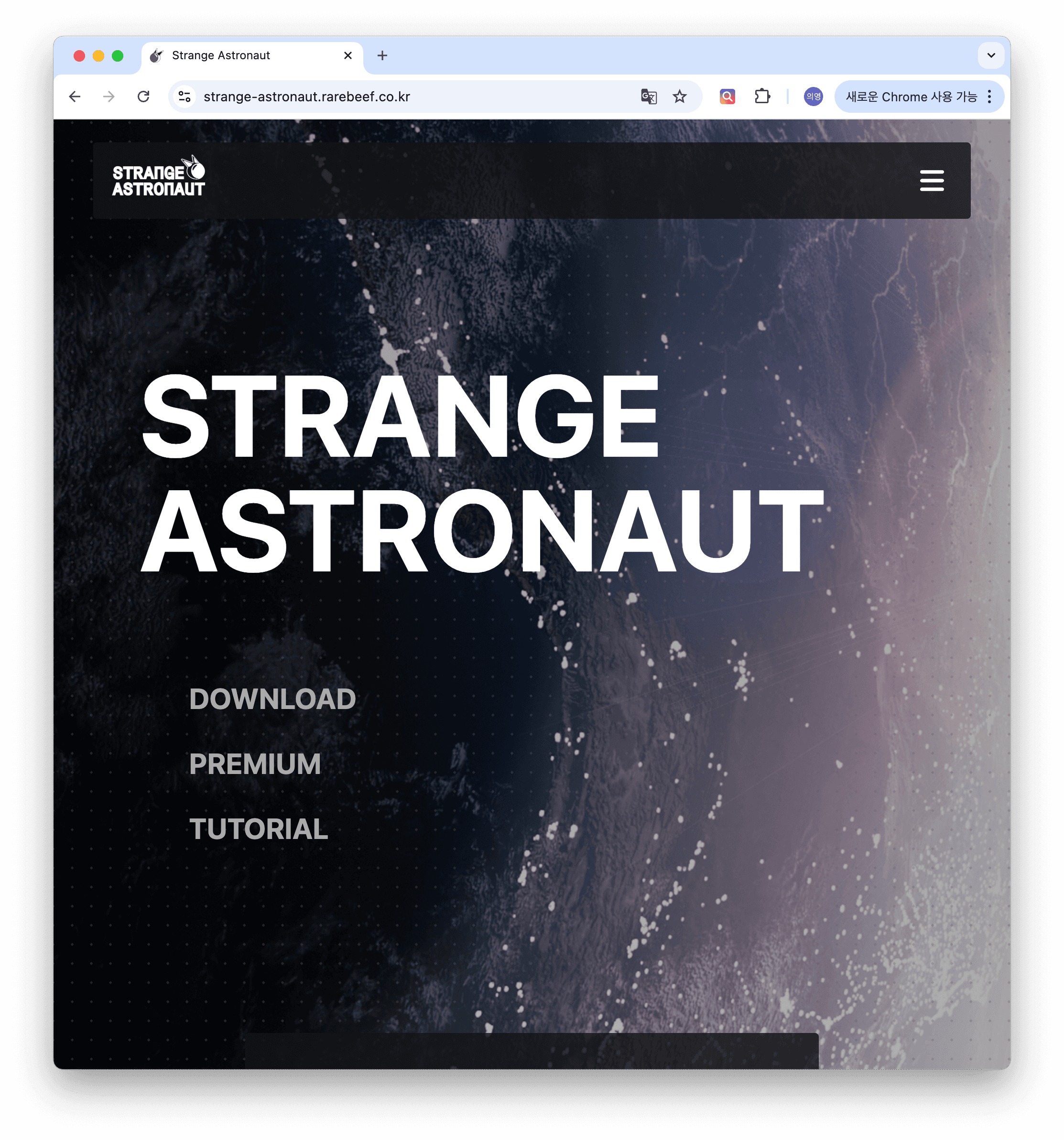 project screenshot