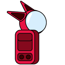 skin red